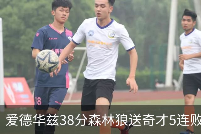 爱德华兹38分森林狼送奇才5连败 活塞力克黄蜂